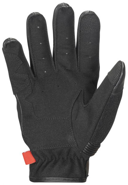 Black Palm Detail